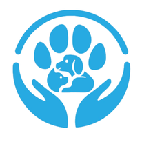 D Pet Care LLC